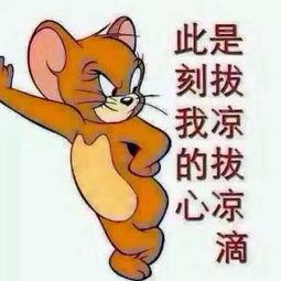 吃瓜群众搞笑合集 第3张 吃瓜群众搞笑合集 第3张